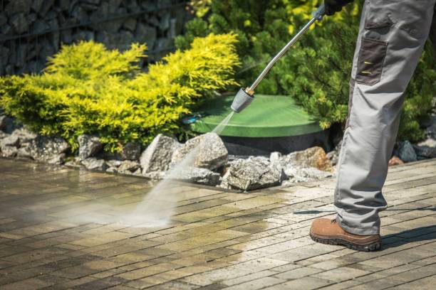 Best Solar Panel Cleaning  in Kempner, TX